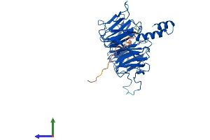 Protein Structure (PS) image for Excision Repair Cross-Complementing Rodent Repair Deficiency, Complementation Group 8 (ERCC8) (AA 1-396) protein (His tag) (ABIN7553817)