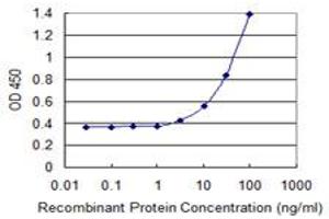 Detection limit for recombinant GST tagged ALOX15 is 1 ng/ml as a capture antibody. (ALOX15 Antikörper  (AA 1-662))