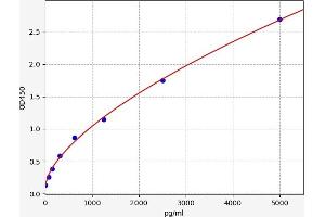 Typical standard curve (SERPINA2P ELISA Kit)
