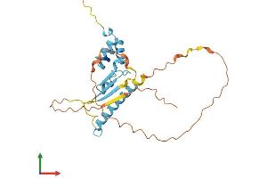 Protein Structure (PS) image for F-Box and Leucine-Rich Repeat Protein 22 (FBXL22) (AA 1-247) protein (His tag) (ABIN7547878)