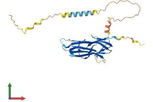 Protein Structure (PS) image for Tumor Necrosis Factor (Ligand) Superfamily, Member 9 (TNFSF9) (AA 1-254) protein (His tag) (ABIN7544427)