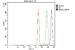 Flow Cytometry analysis of HepG2 cells using anti-Annexin A3 antibody (ABIN7602989).