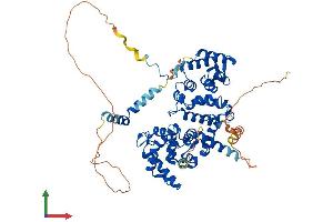 Protein Structure (PS) image for Protein Phosphatase 2A 48 KDa Regulatory Subunit (PPP2R3B) (AA 1-575) protein (His tag) (ABIN7550590)