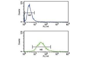 Image no. 8 for anti-HLA Class I Histocompatibility Antigen, alpha Chain G (HLAG) (AA 62-89) antibody (ABIN3031240)