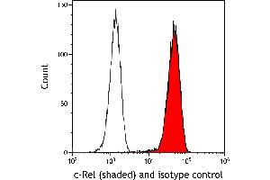Flow Cytometry (FACS) image for anti-REL proto-oncogene (c-Rel) (C-Term) antibody (ABIN7795771)