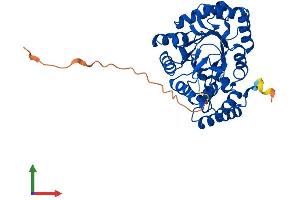 Protein Structure (PS) image for Potassium Voltage-Gated Channel, Shaker-Related Subfamily, beta Member 2 (KCNAB2) (AA 1-367) protein (His tag) (ABIN7563498)