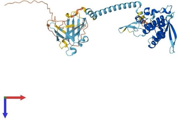 POLR1E Protein (AA 1-482) (His tag)