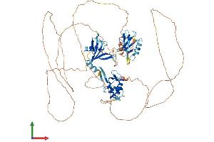 Protein Structure (PS) image for Dishevelled, Dsh Homolog 3 (Drosophila) (DVL3) (AA 1-716) protein (His tag) (ABIN7547218)