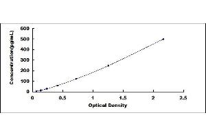 Typical standard curve (M-CSF/CSF1 ELISA Kit)