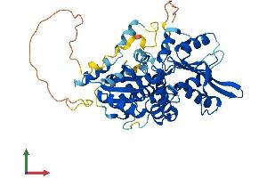 AlphaFold protein structure predicition of Human Recombinant NARF Protein, UniprotID Q9UHQ1