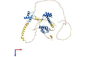 Paired Box 3 Protein (PAX3) (AA 1-479) (His tag)