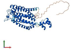 AlphaFold protein structure predicition of Mouse Recombinant Cers6 Protein, UniprotID Q8C172