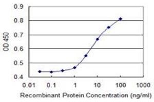 Detection limit for recombinant GST tagged MAP3K7IP1 is 1 ng/ml as a capture antibody. (TAB1 Antikörper  (AA 1-504))