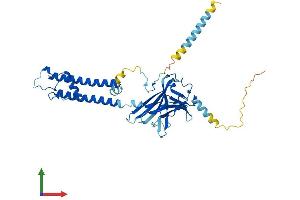 Protein Structure (PS) image for Potassium Inwardly-Rectifying Channel, Subfamily J, Member 1 (KCNJ1) (AA 1-391) protein (His tag) (ABIN7554299)