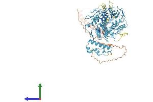 AlphaFold protein structure predicition of Human Recombinant ZNF429 Protein, UniprotID Q86V71