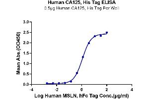 Immobilized Human CA125 at 5 μg/mL (100 μL/well) on the plate.