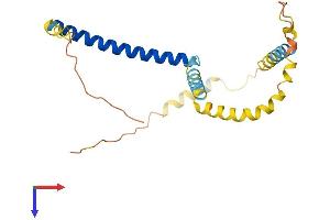 TPD52L1 Protein (AA 1-204) (His tag)