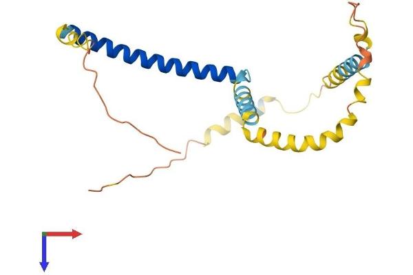 TPD52L1 Protein (AA 1-204) (His tag)
