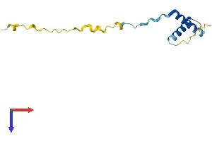 AlphaFold protein structure predicition of Human Recombinant ERVK-16 Protein, UniprotID P61578 (ERVK-16 Protein (AA 1-105) (His tag))