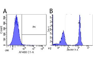 Flow-cytometry using anti-CD4 antibody 13B8. (Rekombinanter CD4 Antikörper)