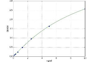 MAP28 Protein (MAP28) ELISA Kit