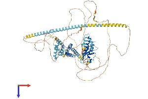 MED15 Protein (AA 1-788) (His tag)