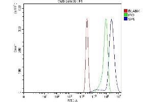 Flow Cytometry analysis of K562 cells using anti-SP6 antibody (ABIN7600335).
