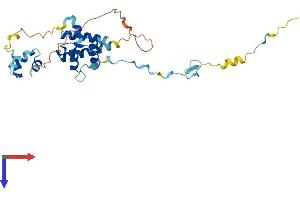 CUEDC2 Protein (AA 1-287) (His tag)