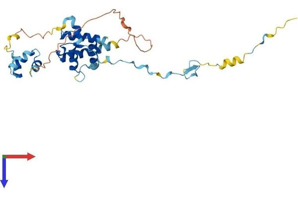CUEDC2 Protein (AA 1-287) (His tag)