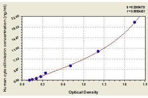 Typical standard curve (Ezrin ELISA Kit)