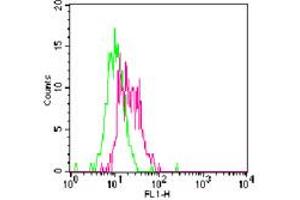 Image no. 1 for anti-Toll-Like Receptor 11 (Tlr11) (AA 911-926) antibody (FITC) (ABIN956821) (TLR11 Antikörper  (AA 911-926) (FITC))