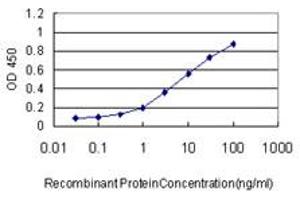 Detection limit for recombinant GST tagged KIF2C is approximately 0. (KIF2C Antikörper  (AA 1-100))