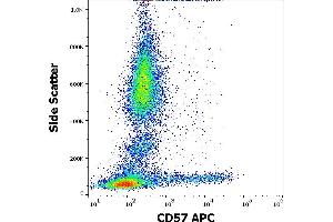 Flow cytometry surface staining pattern of human peripheral whole blood stained using anti-human CD57 (TB01) APC antibody (10 μL reagent / 100 μL of peripheral whole blood). (CD57 Antikörper  (APC))