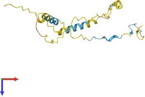 C9orf25 Protein (AA 1-157) (His tag)