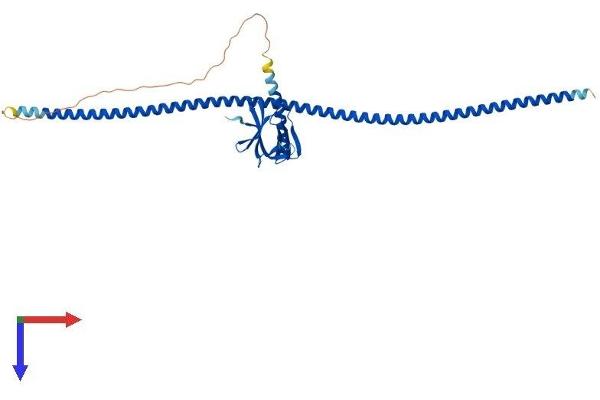 HOMER1 Protein (AA 1-354) (His tag)