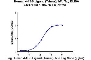 ELISA image for Tumor Necrosis Factor (Ligand) Superfamily, Member 9 (TNFSF9) (AA 71-254), (Trimer) protein (Fc Tag) (ABIN7273929)