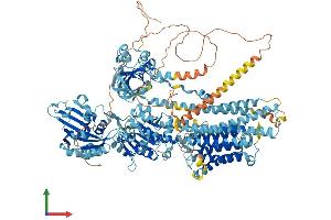 Protein Structure (PS) image for ATPase, Ca++ Transporting, Plasma Membrane 4 (ATP2B4) (AA 1-1205) protein (His tag) (ABIN7564140)