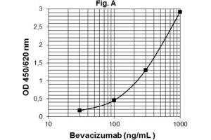 ELISA image for Bevacizumab ELISA Kit (ABIN2862651)