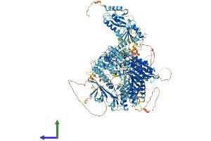 Protein Structure (PS) image for Eukaryotic Translation Initiation Factor 2 alpha Kinase 4 (EIF2AK4) (AA 1-1648) protein (His tag) (ABIN7565162)