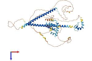 RUNX1T1 Protein (AA 1-604) (His tag)