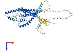 KCNK13 Protein (AA 1-405) (His tag)