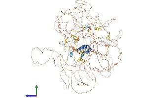AlphaFold protein structure predicition of Mouse Recombinant Kiaa0232 Protein, UniprotID Q80U59