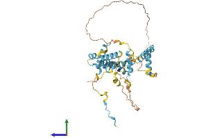 AlphaFold protein structure predicition of Mouse Recombinant Snapc2 Protein, UniprotID Q91XA5