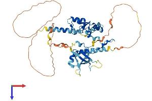 RING1 Protein (AA 1-406) (His tag)
