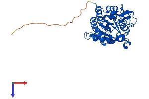 SMUG1 Protein (AA 1-270) (His tag)