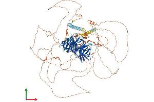 Protein Structure (PS) image for Partner and Localizer of BRCA2 (PALB2) (AA 1-1104) protein (His tag) (ABIN7563691)