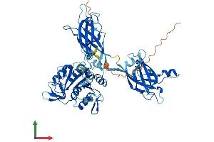 Protein Structure (PS) image for Copine VIII (CPNE8) (AA 1-577) protein (His tag) (ABIN7561321)