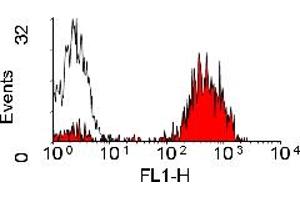 Image no. 1 for anti-Major Histocompatibility Complex Class II Antigen (MHC2) antibody (FITC) (ABIN304830)