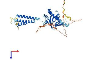 POPDC2 Protein (AA 1-367) (His tag)