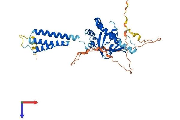 POPDC2 Protein (AA 1-367) (His tag)